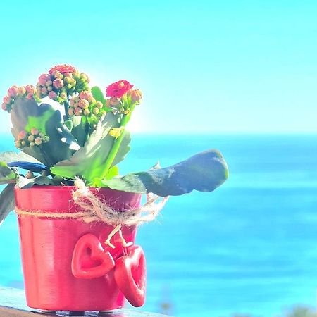Aa Guest - The Golden Sea Views Eco Apartment 贝纳尔马德纳 外观 照片